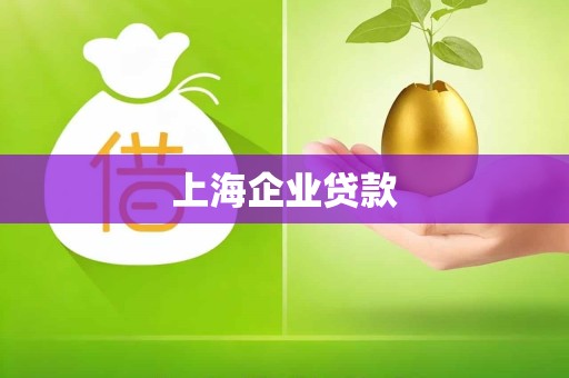 上海企业贷款